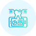 Emergency Dentist